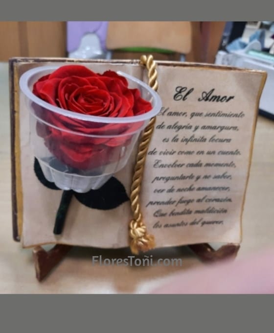Rosa Eterna con Libro | Flores Toñi | Floristeria en Collado Villalba